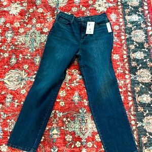 Gloria Vanderbilt Indigo Skinny Jeans